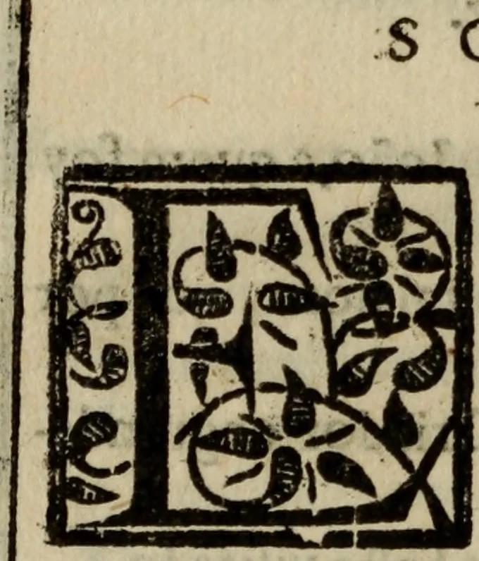 An illustration from Conuersam, e lagrimas da gloriosa Sancta Maria Magdalena, & outras obras espirituaes, 1615, leaf 261