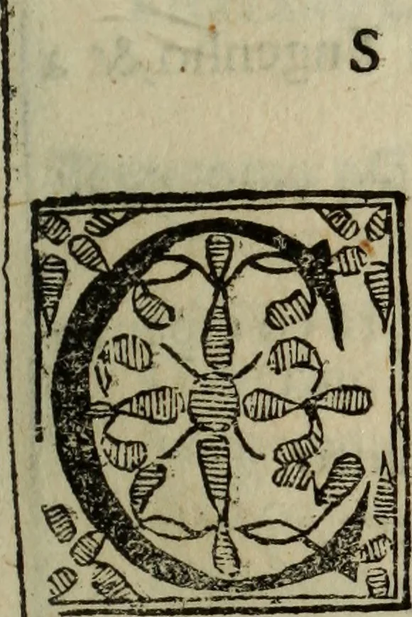 An illustration from Conuersam, e lagrimas da gloriosa Sancta Maria Magdalena, & outras obras espirituaes, 1615, leaf 272