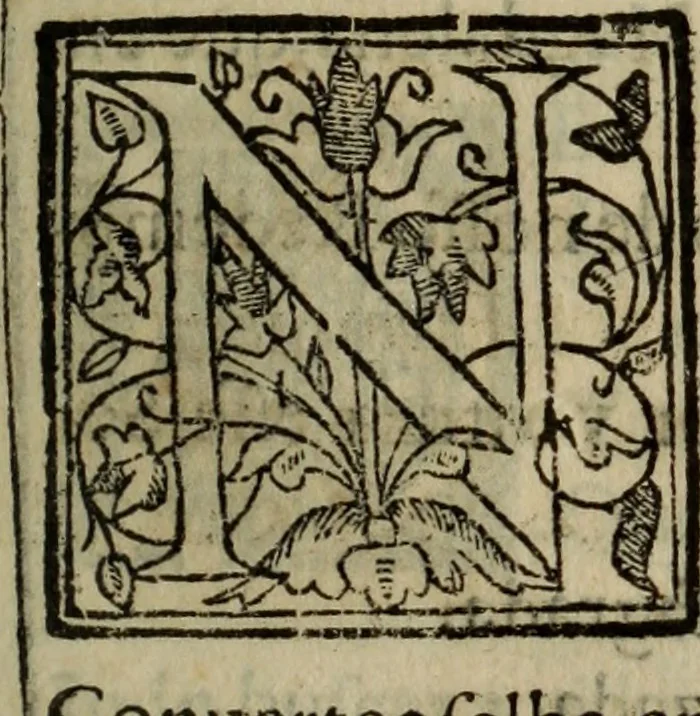 An illustration from Conuersam, e lagrimas da gloriosa Sancta Maria Magdalena, & outras obras espirituaes, 1615, leaf 286