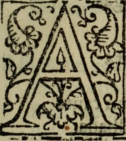 An illustration from Conuersam, e lagrimas da gloriosa Sancta Maria Magdalena, & outras obras espirituaes, 1615, leaf 344