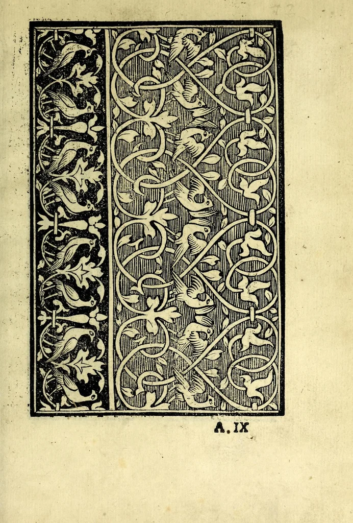 An illustration from Conuiuio dele belle donne : doue con li nuoui recami & lauorieri co[n] giusta misura compassati et non piu veduti de immortalitate con l'ingegno suo farsene degne si puole, acquistando tra le nobile, con propie mani mediante questo nuouo nostro conuiuio loco a se nobilissimo, 1531, leaf 23