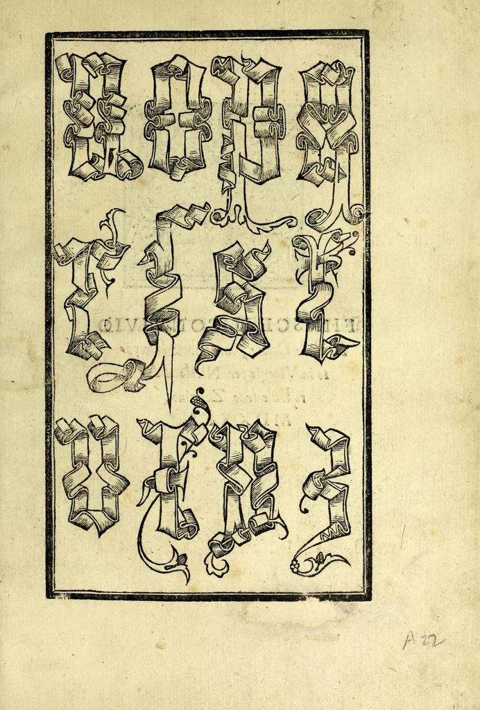 An illustration from Conuiuio dele belle donne : doue con li nuoui recami & lauorieri co[n] giusta misura compassati et non piu veduti de immortalitate con l'ingegno suo farsene degne si puole, acquistando tra le nobile, con propie mani mediante questo nuouo nostro conuiuio loco a se nobilissimo, 1531, leaf 49