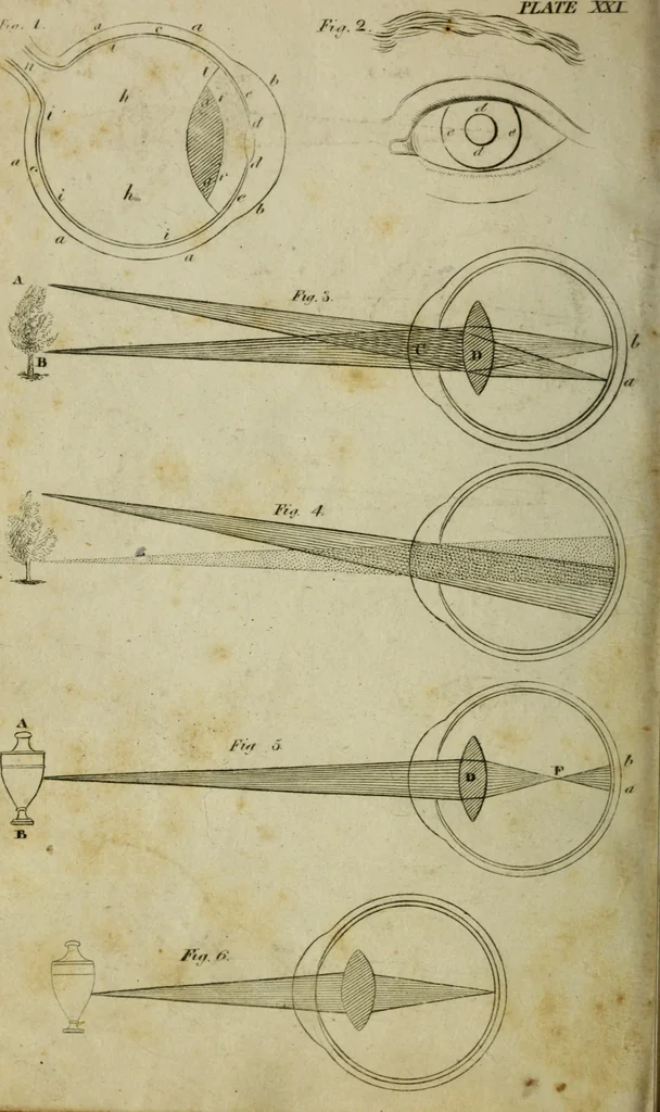An illustration from Conversations on natural philosophy :, 1826, leaf 279