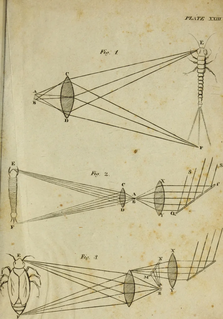 An illustration from Conversations on natural philosophy :, 1826, leaf 282