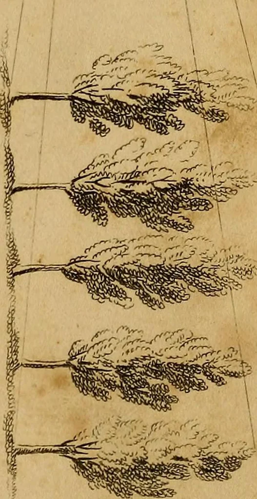 An illustration from Conversations on natural philosophy, in which the elements of that science are familiarly explained, and adapted to the comprehension of young pupils. Illustrated with plates, 1825, leaf 294