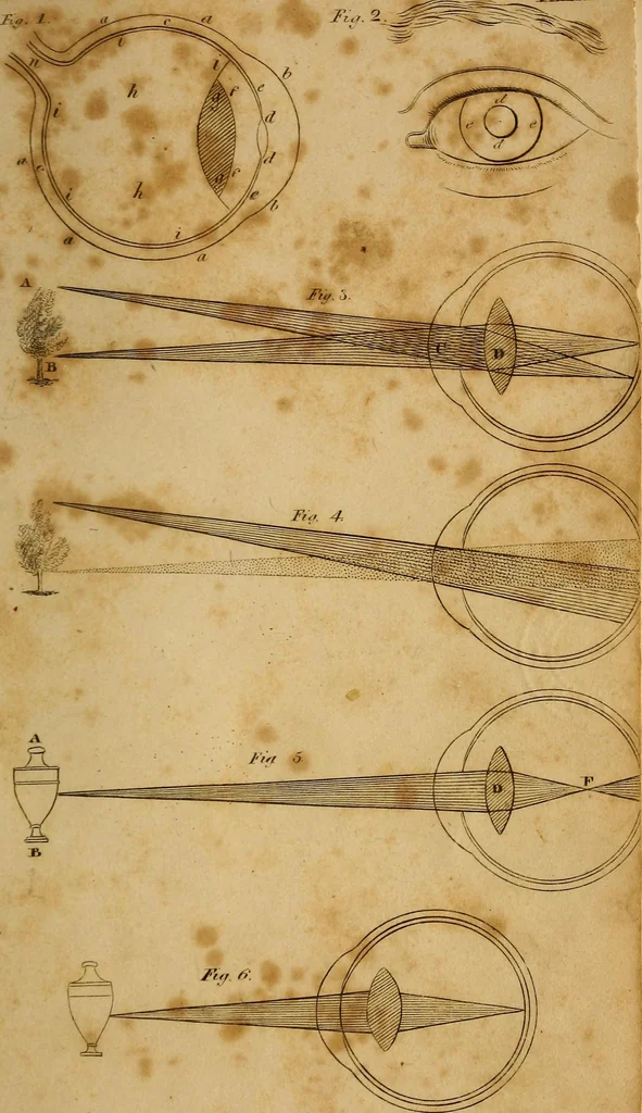 An illustration from Conversations on natural philosophy, in which the elements of that science are familiarly explained, and adapted to the comprehension of young pupils. Illustrated with plates, 1825, leaf 302