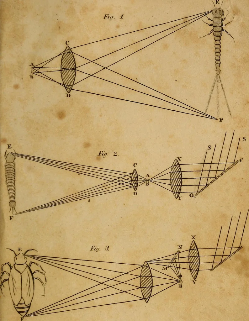 An illustration from Conversations on natural philosophy, in which the elements of that science are familiarly explained, and adapted to the comprehension of young pupils. Illustrated with plates, 1825, leaf 306