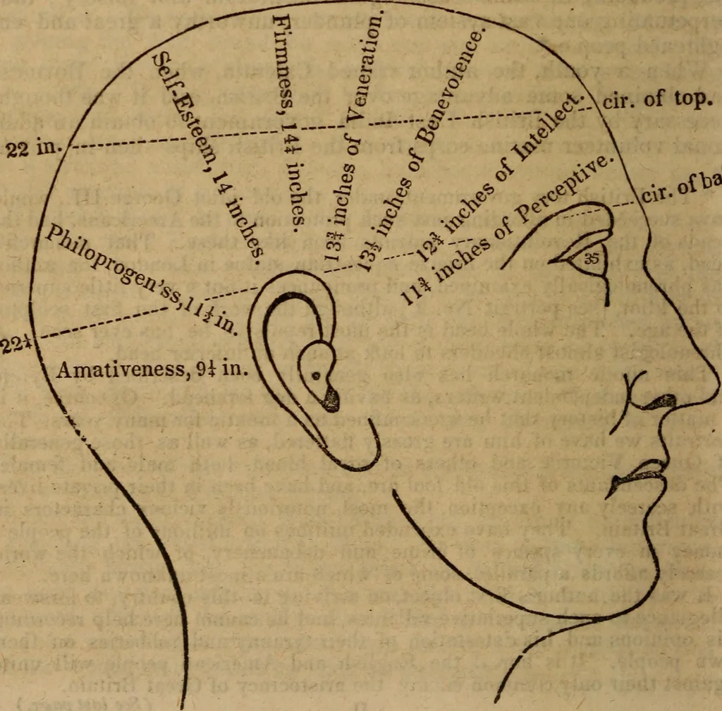 An illustration from Coombs' popular phrenology:, 1865, leaf 107