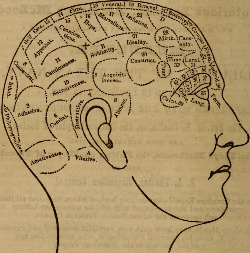 An illustration from Coombs' popular phrenology:, 1865, leaf 117