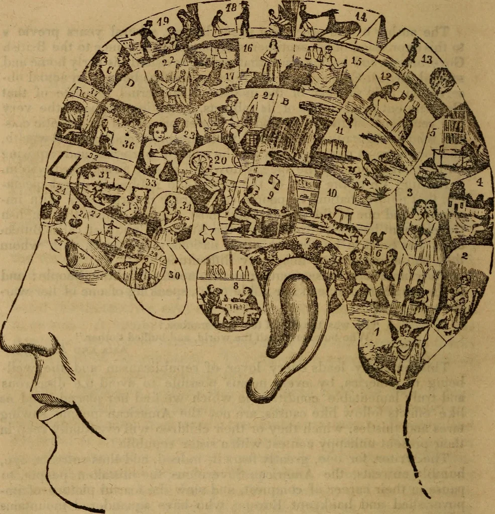 An illustration from Coombs' popular phrenology:, 1865, leaf 129