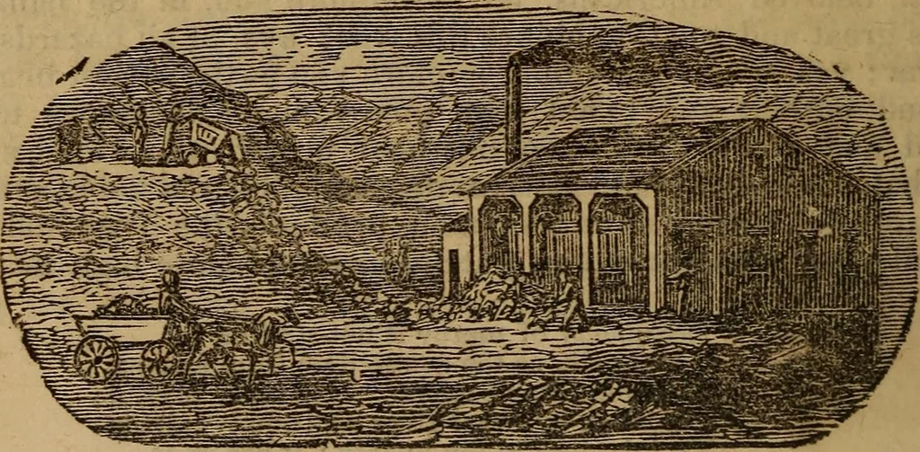 An illustration from Coombs' popular phrenology:, 1865, leaf 129