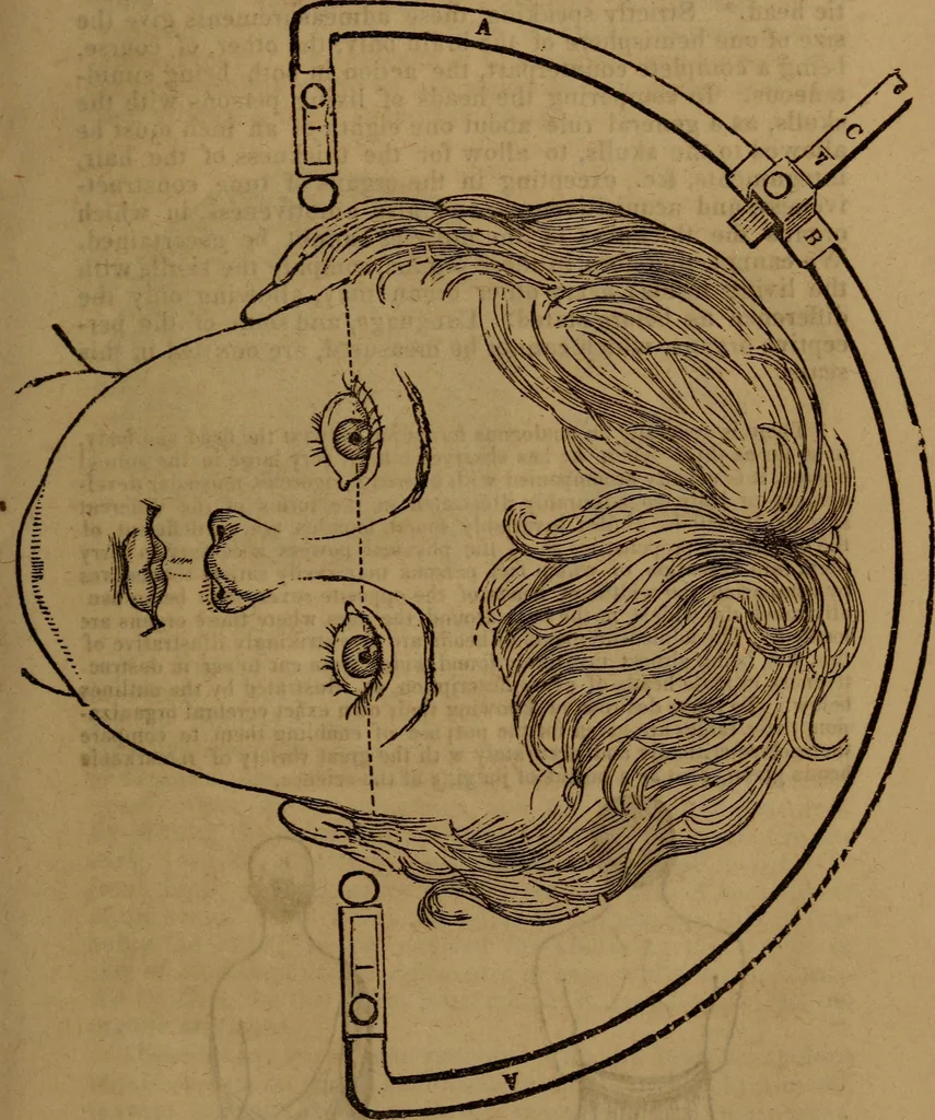 An illustration from Coombs' popular phrenology:, 1865, leaf 16