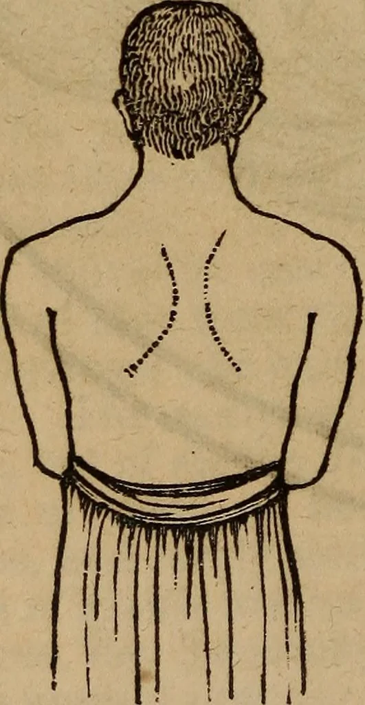 An illustration from Coombs' popular phrenology:, 1865, leaf 17