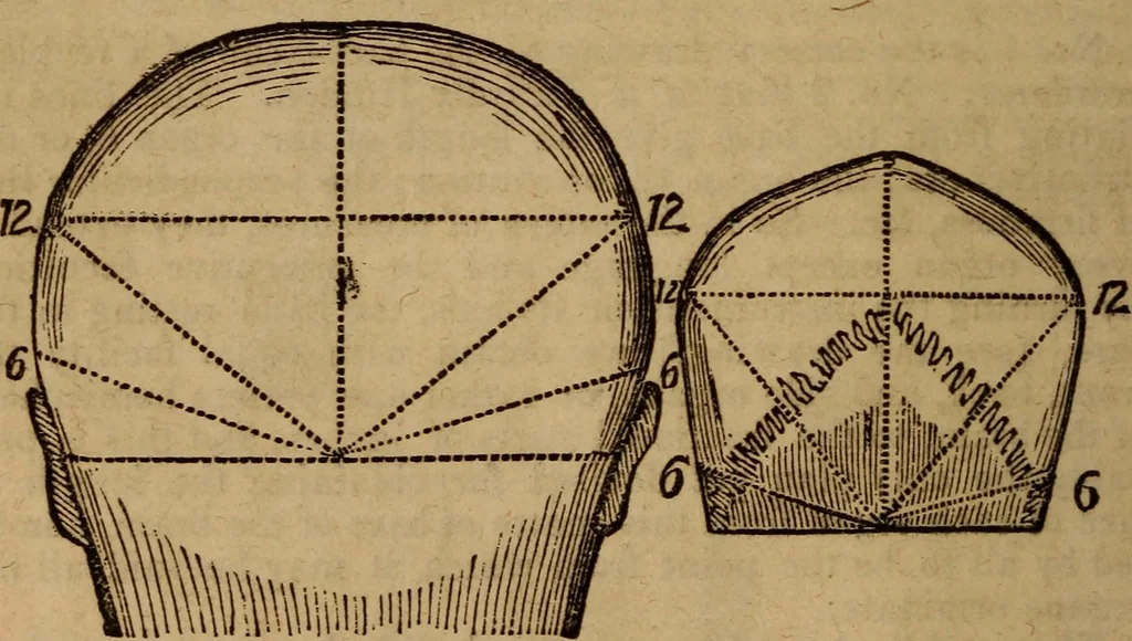 An illustration from Coombs' popular phrenology:, 1865, leaf 19
