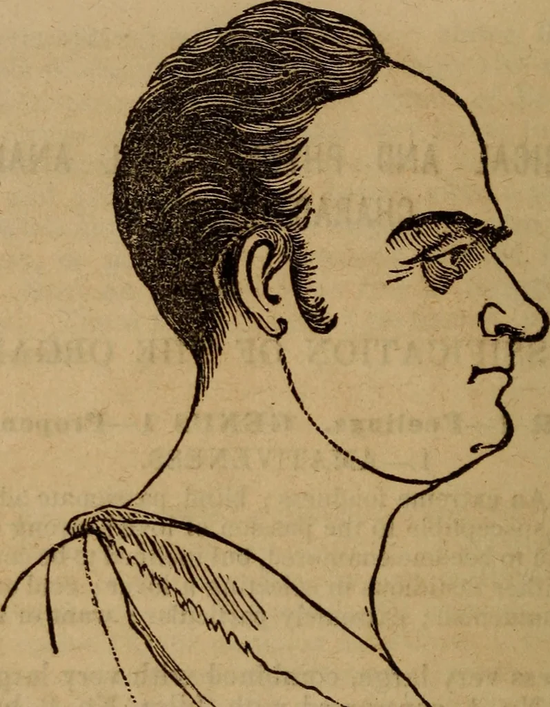 An illustration from Coombs' popular phrenology:, 1865, leaf 33