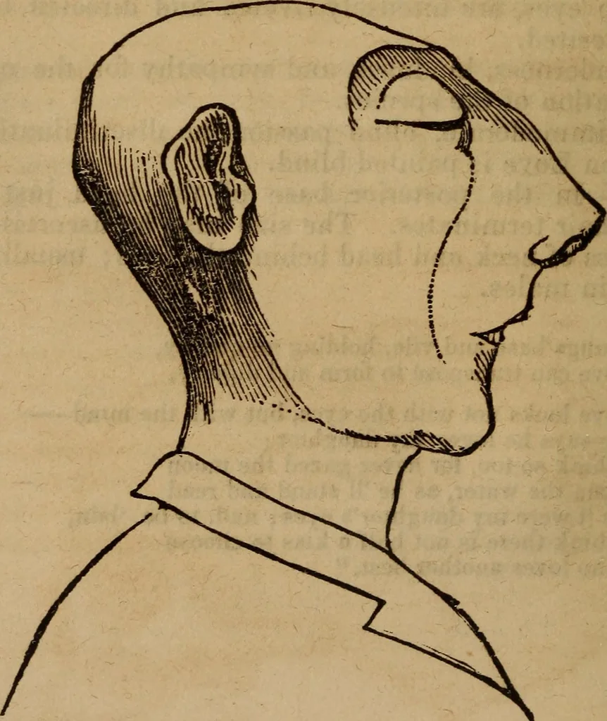 An illustration from Coombs' popular phrenology:, 1865, leaf 33