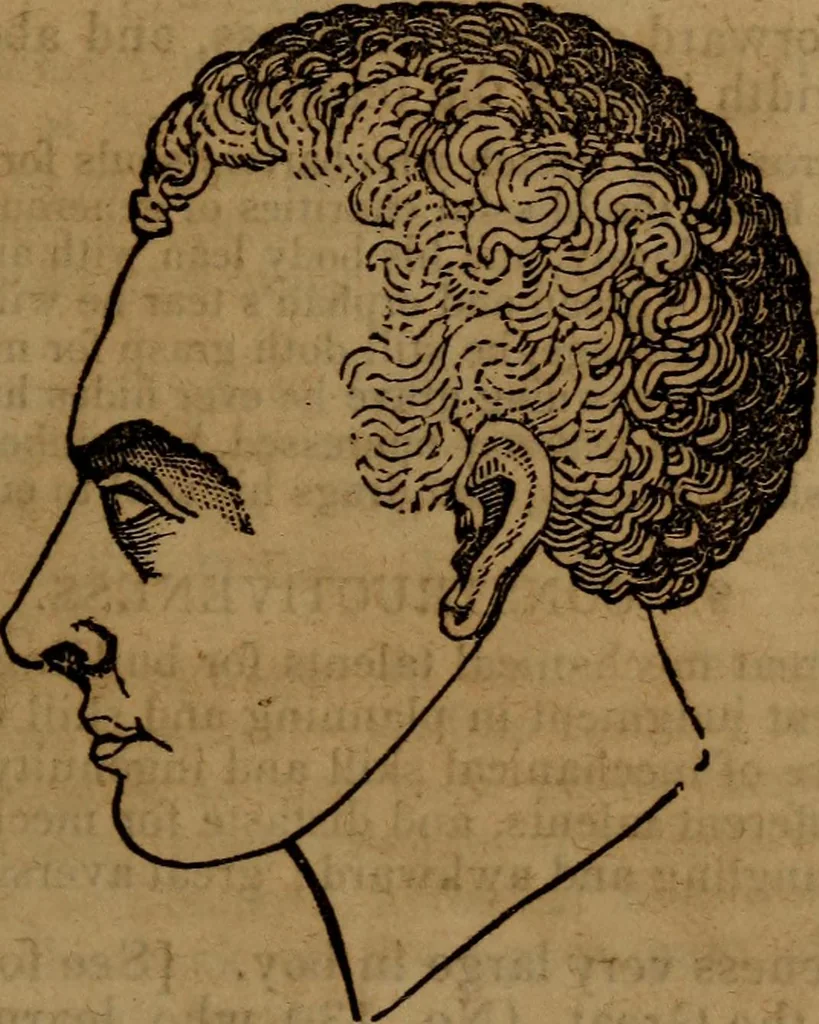 An illustration from Coombs' popular phrenology:, 1865, leaf 42