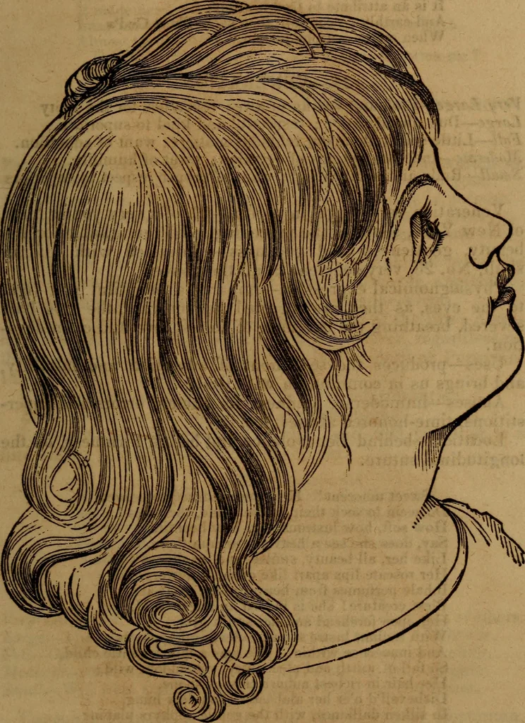 An illustration from Coombs' popular phrenology:, 1865, leaf 50