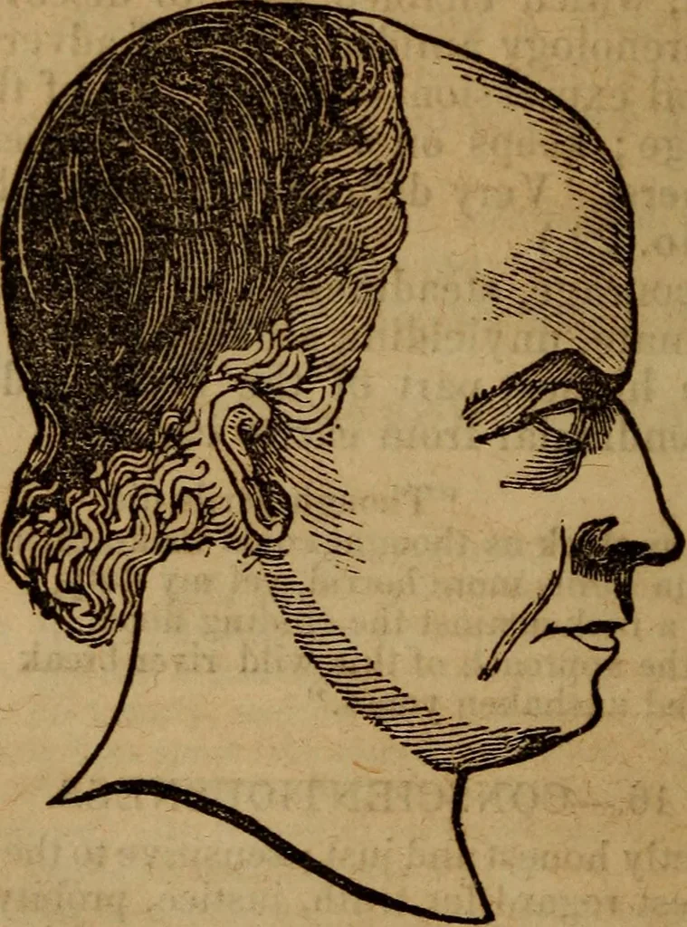 An illustration from Coombs' popular phrenology:, 1865, leaf 53