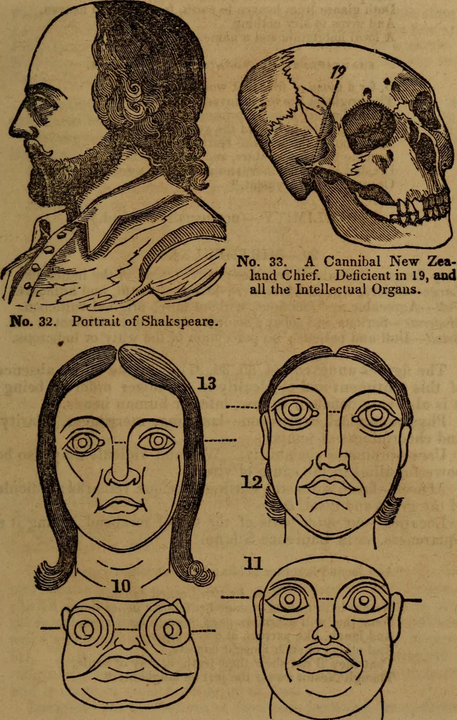 An illustration from Coombs' popular phrenology:, 1865, leaf 58