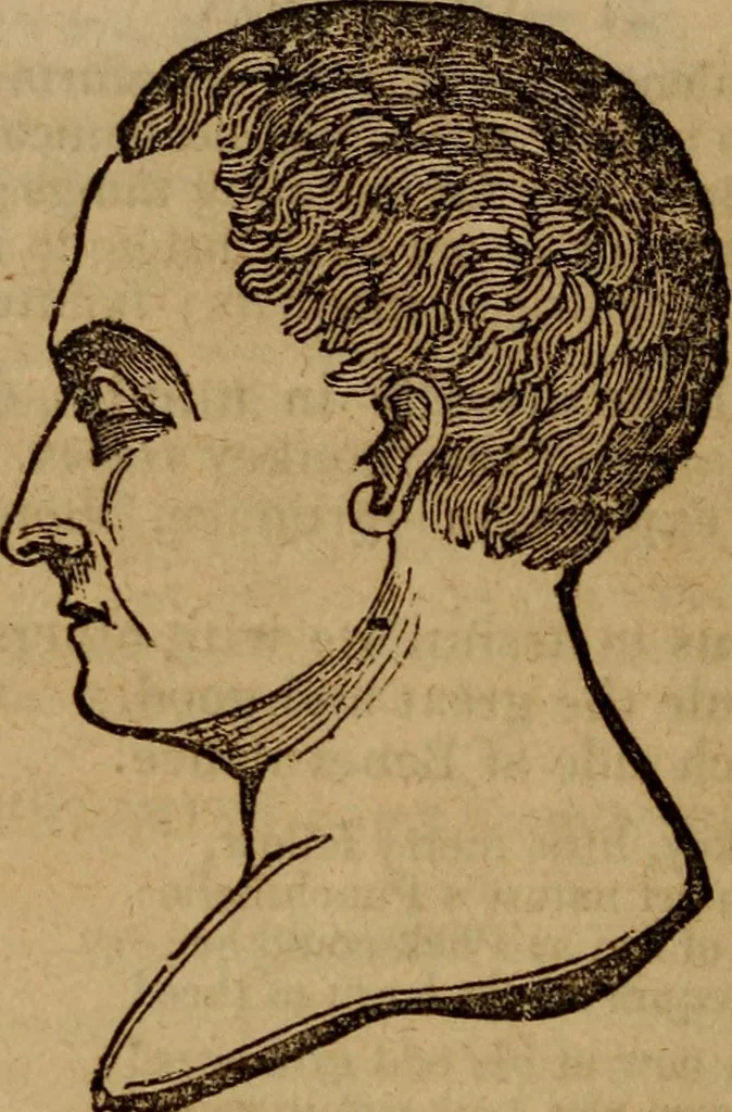 An illustration from Coombs' popular phrenology:, 1865, leaf 61