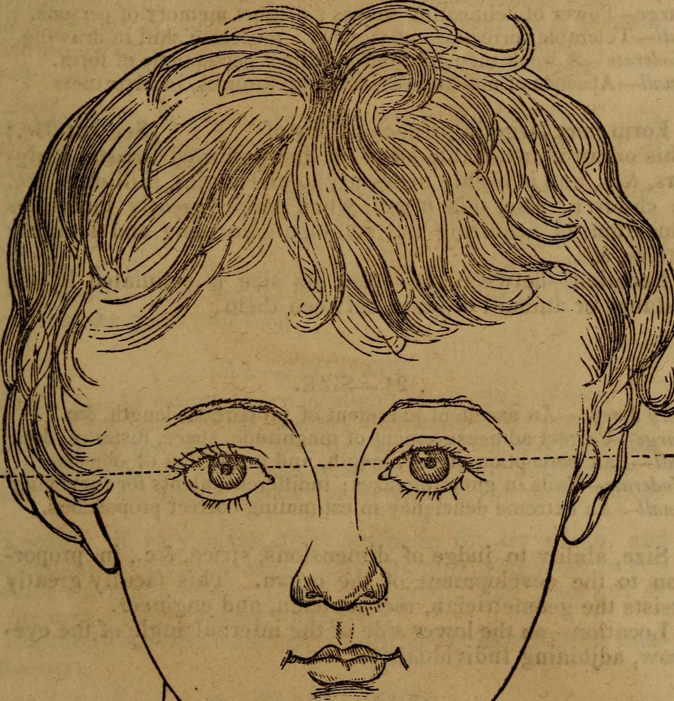 An illustration from Coombs' popular phrenology:, 1865, leaf 62