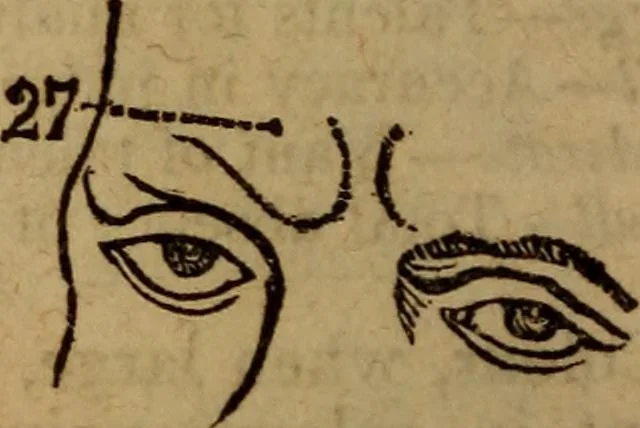 An illustration from Coombs' popular phrenology:, 1865, leaf 65
