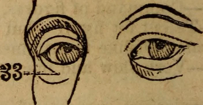 An illustration from Coombs' popular phrenology:, 1865, leaf 65