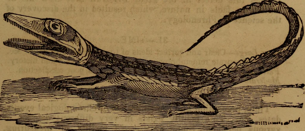 An illustration from Coombs' popular phrenology:, 1865, leaf 68