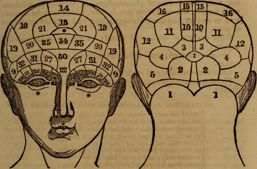 An illustration from Coombs' popular phrenology:, 1865, leaf 76
