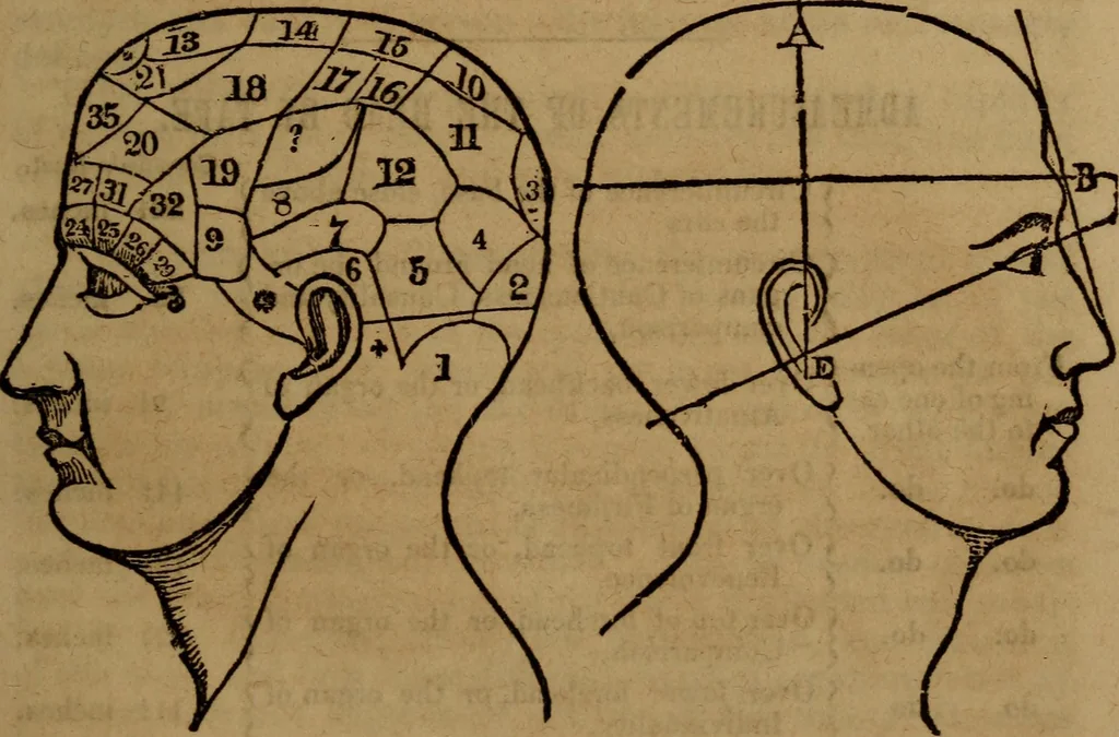 An illustration from Coombs' popular phrenology:, 1865, leaf 76