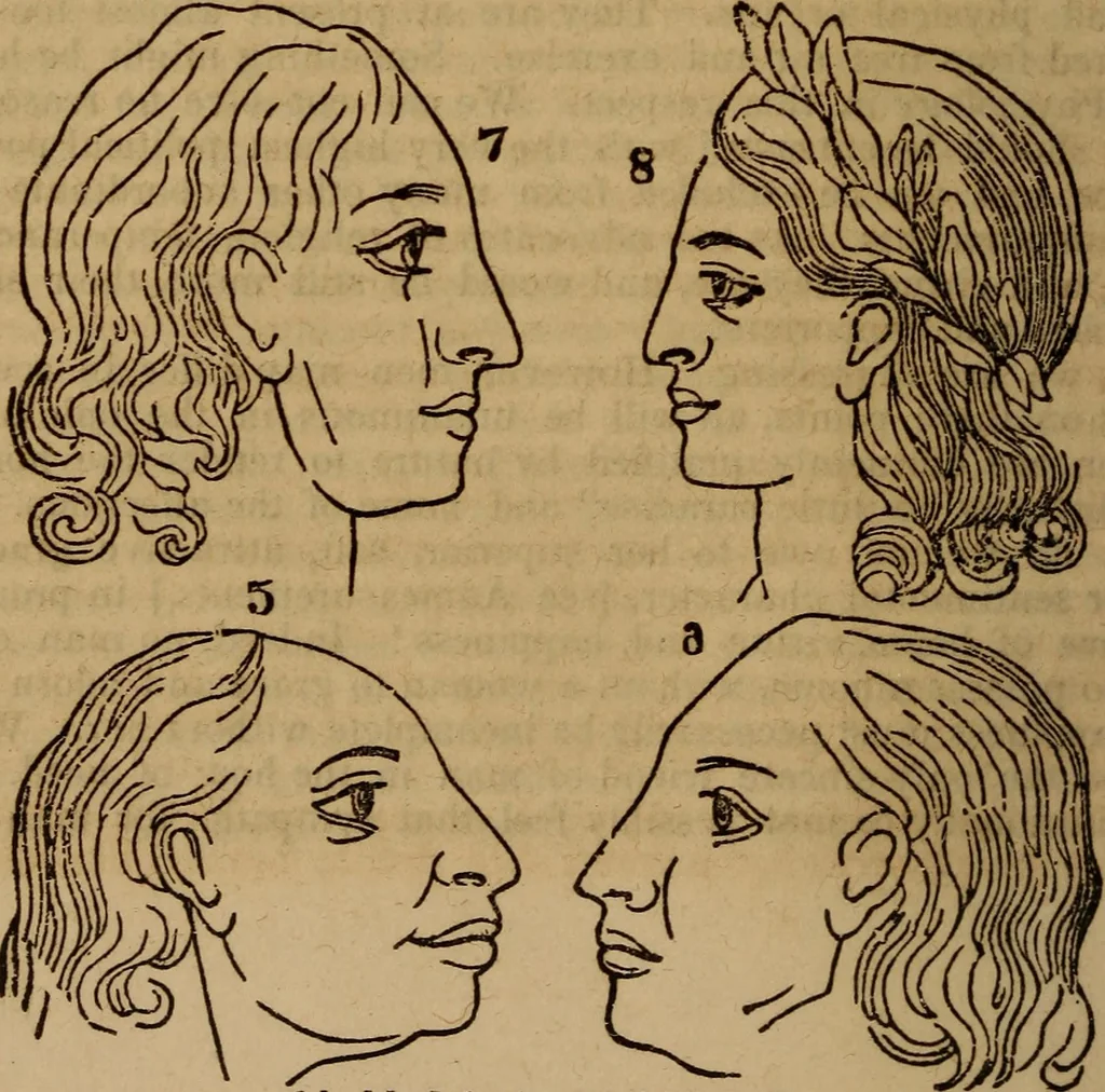 An illustration from Coombs' popular phrenology:, 1865, leaf 97