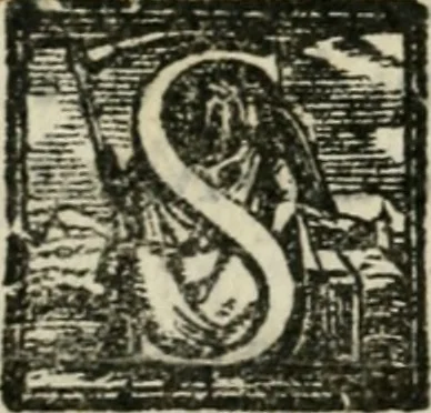An illustration from Copia d'vna lettera che narra minvtamente la entrata fatta dall'illustrissimo duca Ottauio Farnese, nella magnifica città di Piacenza, 1556, leaf 11
