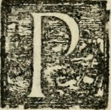 An illustration from Copia d'vna lettera che narra minvtamente la entrata fatta dall'illustrissimo duca Ottauio Farnese, nella magnifica città di Piacenza, 1556, leaf 27
