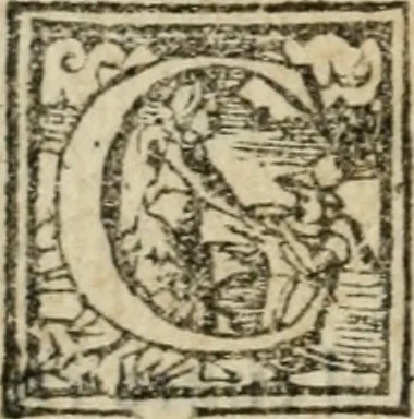An illustration from Copia d'vna lettera che narra minvtamente la entrata fatta dall'illustrissimo duca Ottauio Farnese, nella magnifica città di Piacenza, 1556, leaf 29