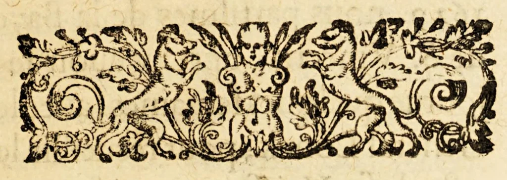 An illustration from Copie de la lettre escrite a messieurs les Estats Generaux des Prouinces Vnies des Pays-bas;, 1630, leaf 9