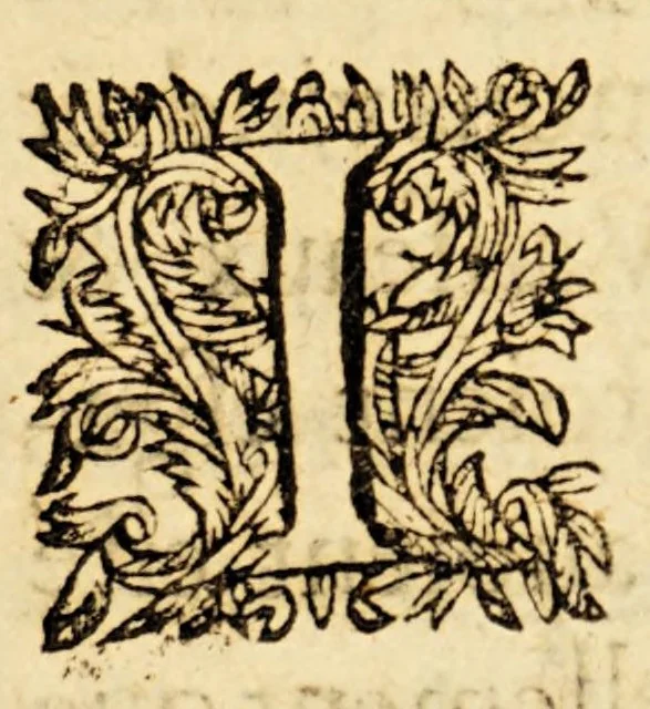 An illustration from Copie de la lettre escrite a messieurs les Estats Generaux des Prouinces Vnies des Pays-bas;, 1630, leaf 9