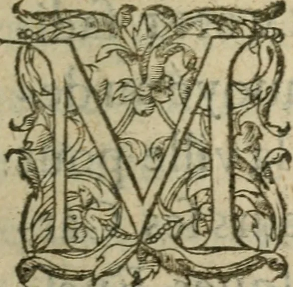 An illustration from Copie d'vne lettre escrite de Rome par vn des hvissiers de chambre de Monseigneur le duc de Neuers à vn sien amy, touchant les ceremonies faites à l'entrée dudit seigneur duc en la ville de Rome, le vingt-cinquiesme nouembre mil six cens huict, 1609, leaf 4