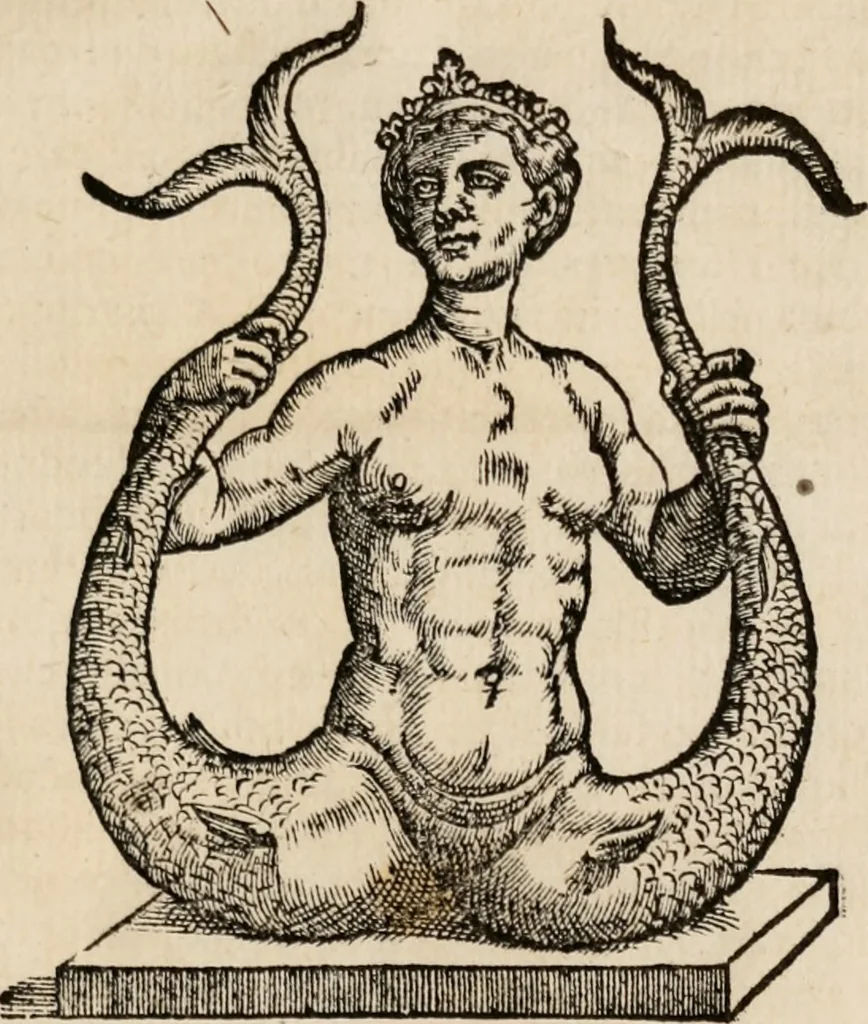 An illustration from Copiosissima parafrase di M. Alessandro Piccolomini, nel primo libro della Retorica d'Aristotele : con la tavola de i capi in quella contenuti, dalli argumenti de i quali potrà il lettore ageuolmente conoscere quanto utile, & necessaria lettione se gli appresenti, 1565, leaf 342