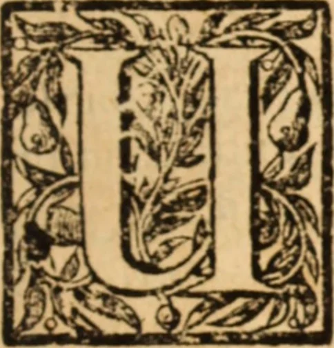 An illustration from The conformists plea for the non-conformists : or, A just and compassionate representation of the present state and condition of the non-conformists .., 1681, leaf 270