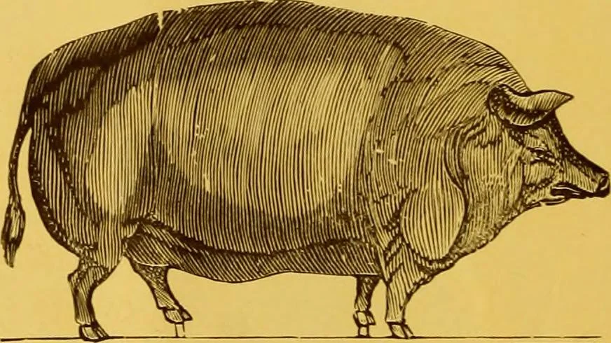 An illustration from Copper weather vanes., 1921, leaf 21