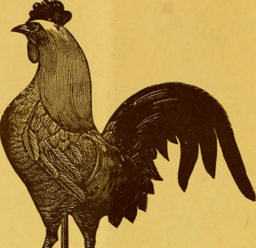 An illustration from Copper weather vanes., 1921, leaf 23