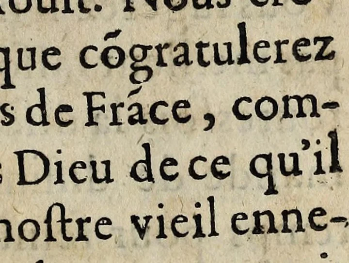 An illustration from Coppie d'vne lettre escripte par le Roy de Nauarre surprinse au corrier à Pontallier à Montaigne, aux illustrissimes seigneurs de la republicque de Berne., 1589, leaf 13