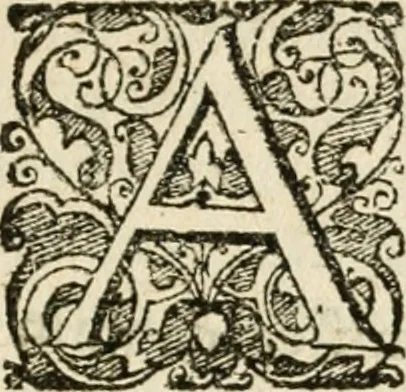 An illustration from Cornelii Giselberti Plempii Amsterodamum monogrammon, 1616, leaf 12