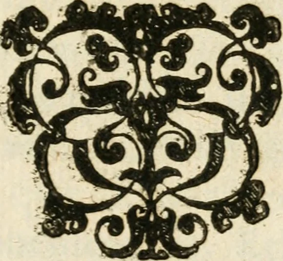 An illustration from Cornelii Giselberti Plempii Amsterodamum monogrammon, 1616, leaf 126