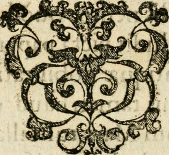 An illustration from Cornelii Giselberti Plempii Amsterodamum monogrammon, 1616, leaf 131