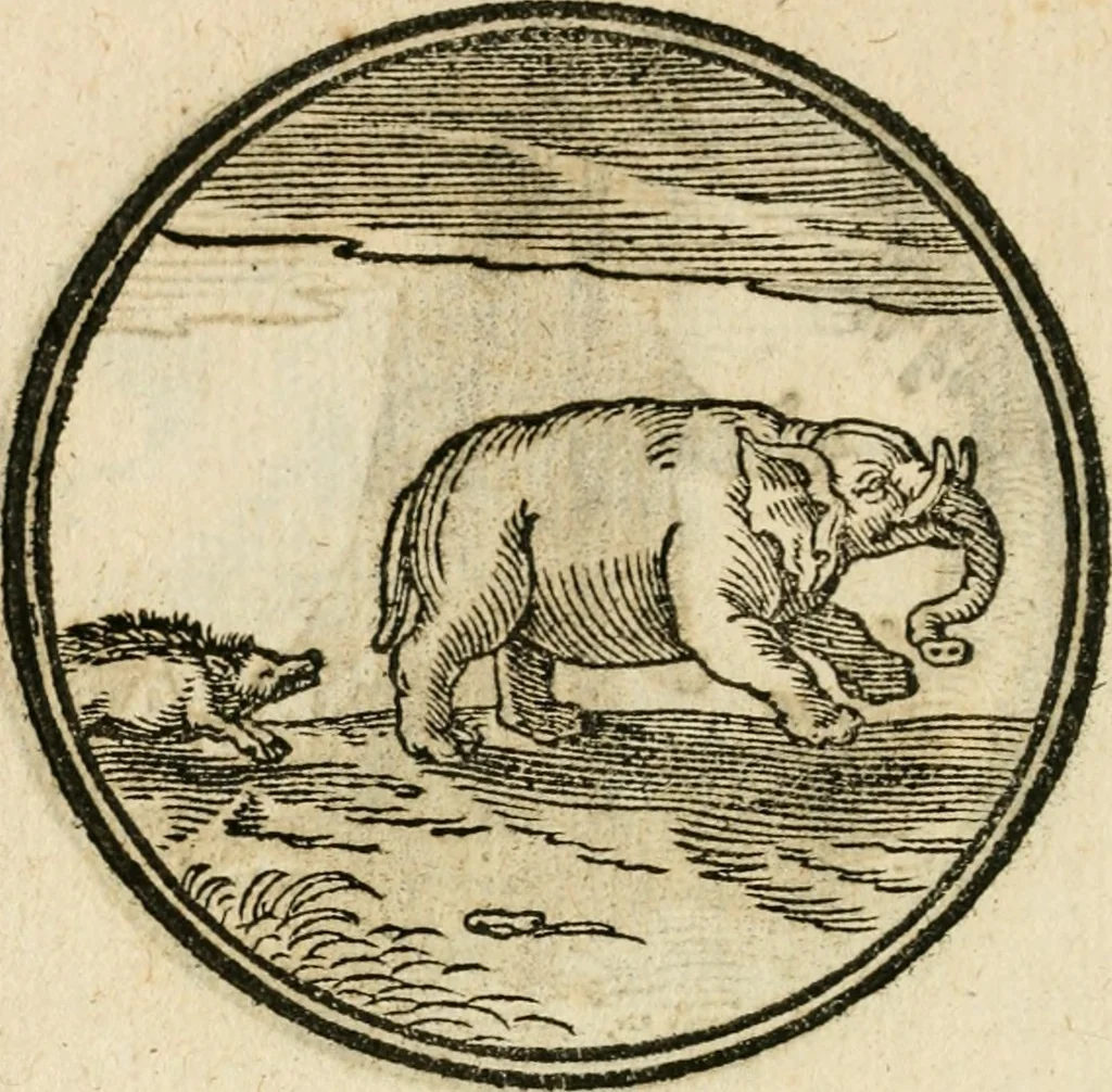 An illustration from Cornelii Giselberti Plempii Amsterodamum monogrammon, 1616, leaf 137