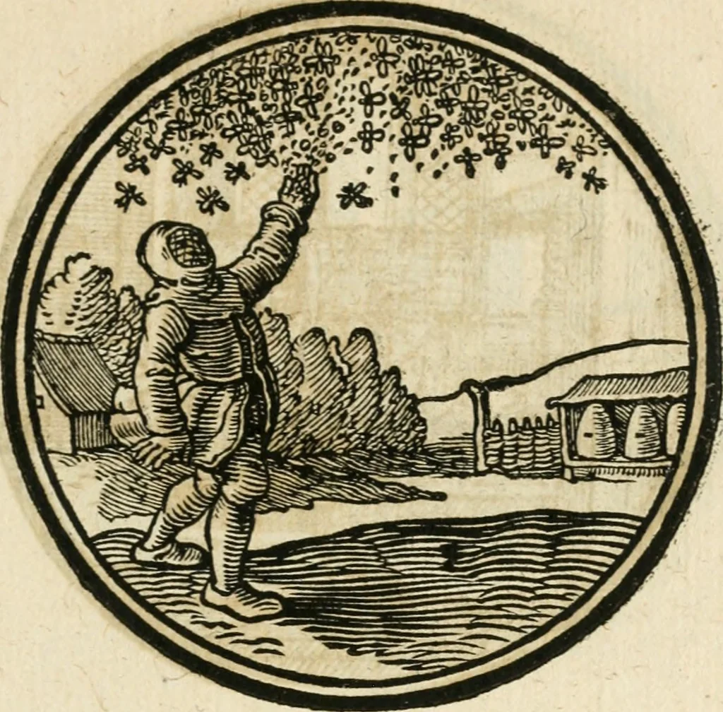 An illustration from Cornelii Giselberti Plempii Amsterodamum monogrammon, 1616, leaf 168