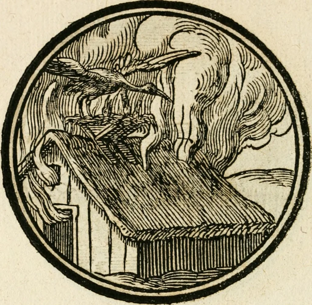 An illustration from Cornelii Giselberti Plempii Amsterodamum monogrammon, 1616, leaf 173