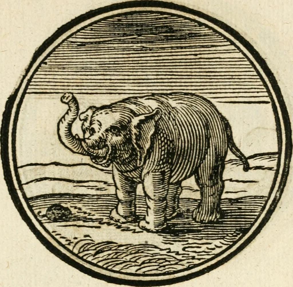 An illustration from Cornelii Giselberti Plempii Amsterodamum monogrammon, 1616, leaf 174
